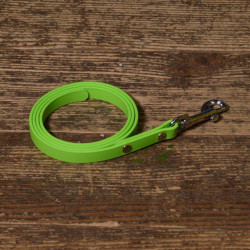 BioThane Leine 12mm apple green mit Nieten