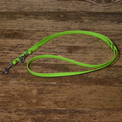BIOTHANE Doppelführleine apple green