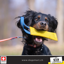 Beisswulst aus Feuerwehrschlauch