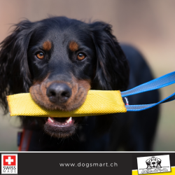 Beisswulst aus Feuerwehrschlauch