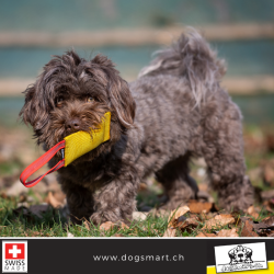 Beisswulst aus Feuerwehrschlauch