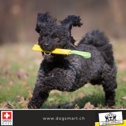 Beisswulst aus Feuerwehrschlauch