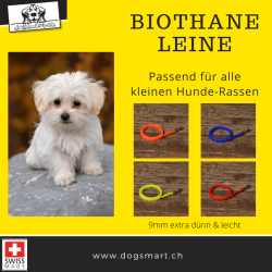 BioThane Leine 9mm neon gelb extra dünn mit Nieten