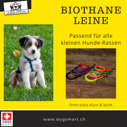 BioThane Leine 9mm schwarz extra dünn mit Nieten