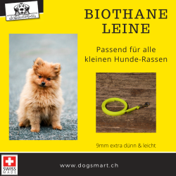 BioThane Leine 9mm neon gelb extra dünn mit Nieten