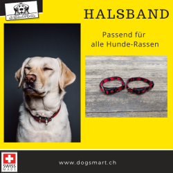 Halsband mit Pfoten rot/schwarz