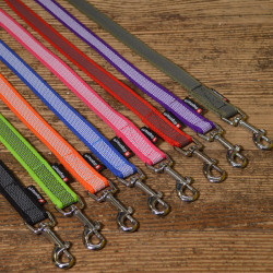 Gummierte Pes Leine 2 Karabiner