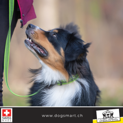 Halsband Gummiert PES grün