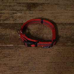 Halsband Gummiert PES rot