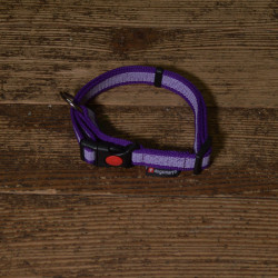 Halsband Gummiert PES violett