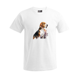 T-Shirt Beagle  7