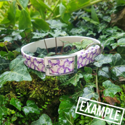 UV BIOTHANE HALSBAND Lucky 1