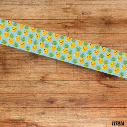 UV BIOTHANE HALSBAND Ananas 1