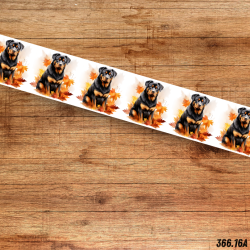 UV BIOTHANE HALSBAND Herbst Dog 2