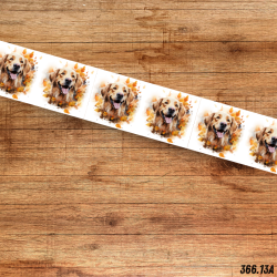 UV BIOTHANE HALSBAND HERBST DOG 3
