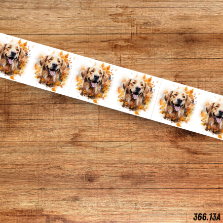 UV BIOTHANE HALSBAND HERBST DOG 3