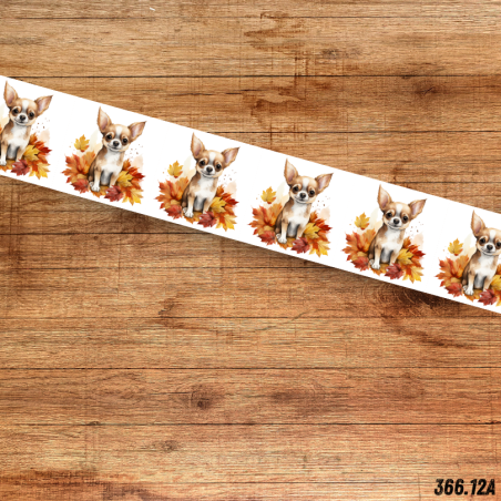 UV BIOTHANE HALSBAND HERBST DOG 4