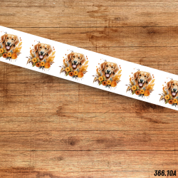UV BIOTHANE HALSBAND HERBST DOG 5