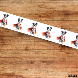UV BIOTHANE HALSBAND SUPER DOG 1