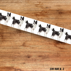 UV BIOTHANE HALSBAND Border Collie 1