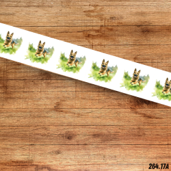 UV BIOTHANE HALSBAND German Shepherd 5