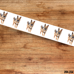 UV BIOTHANE HALSBAND German Shepherd 12