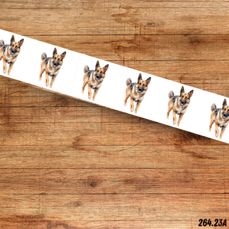 UV BIOTHANE HALSBAND German Shepherd 12