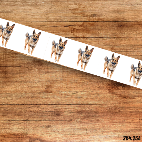 UV BIOTHANE HALSBAND German Shepherd 12