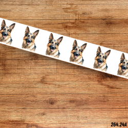 UV BIOTHANE HALSBAND German Shepherd 13