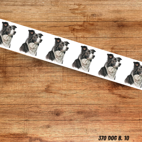 UV BIOTHANE HALSBAND BORDER COLLIE 2