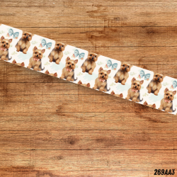 UV BIOTHANE HALSBAND YORKSHIRE TERRIER 1