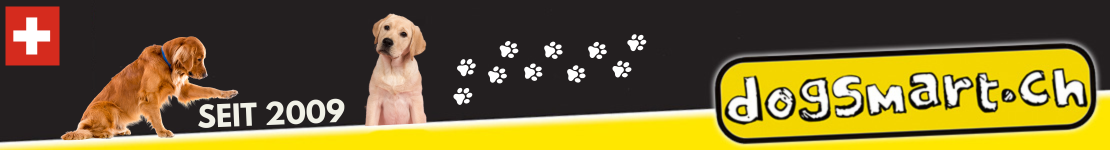 dogsmart GmbH